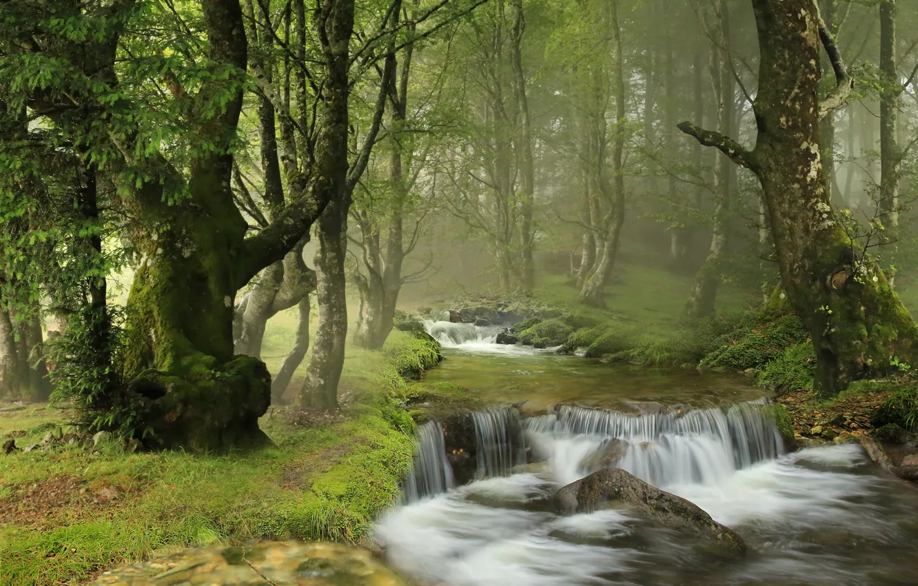 Photo wallpaper forest, trees, river, waterfall, Spain, cascade, Spain, Navarre