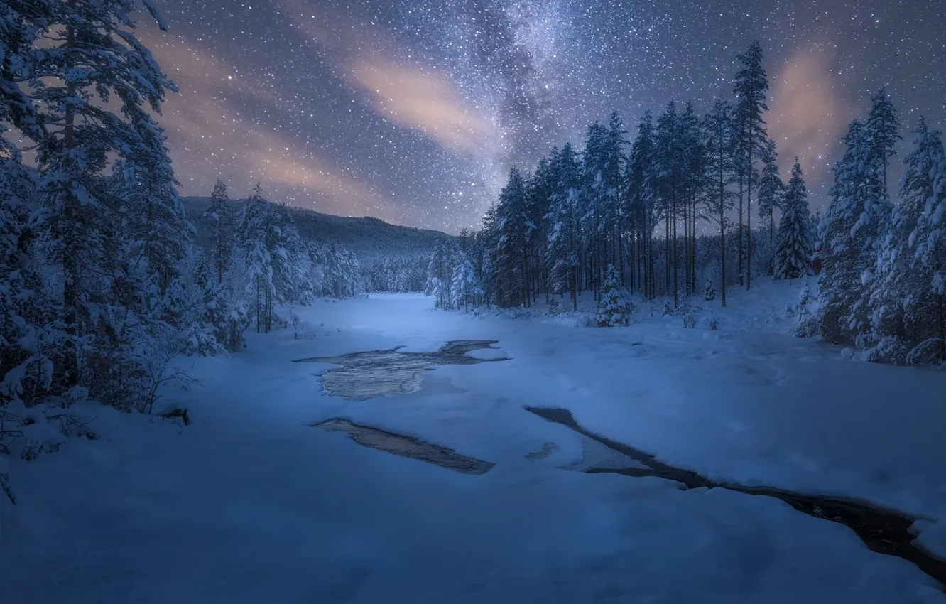 Photo wallpaper winter, stars, snow, trees, night, nature
