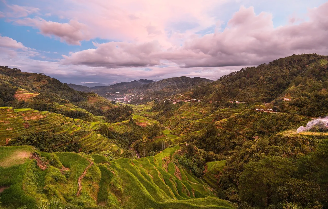 Photo wallpaper city, wallpaper, Town