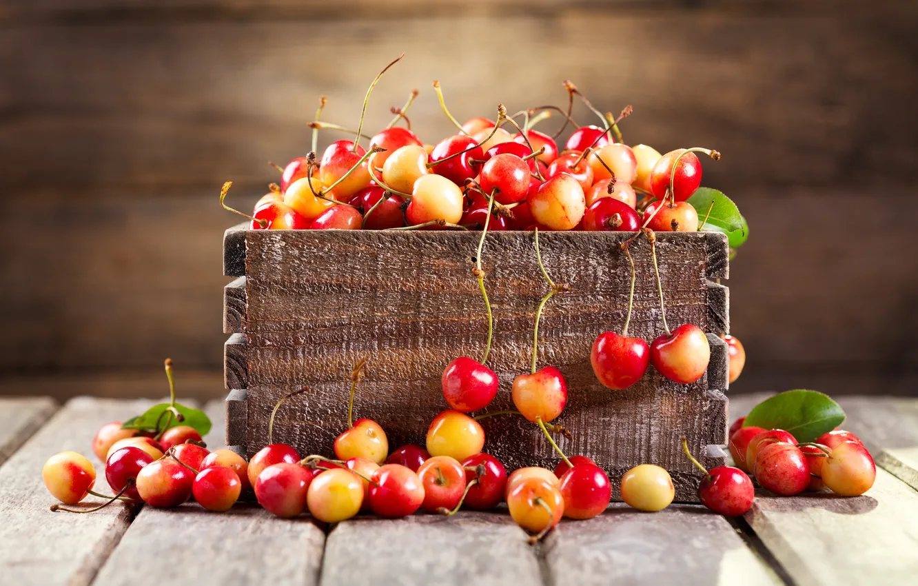 Photo wallpaper leaf, box, cherry