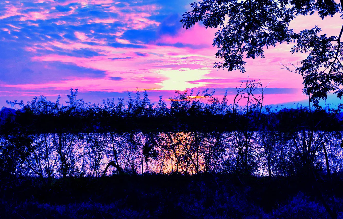 Photo wallpaper sky, trees, water, clouds, lake, morning, sun, bushes