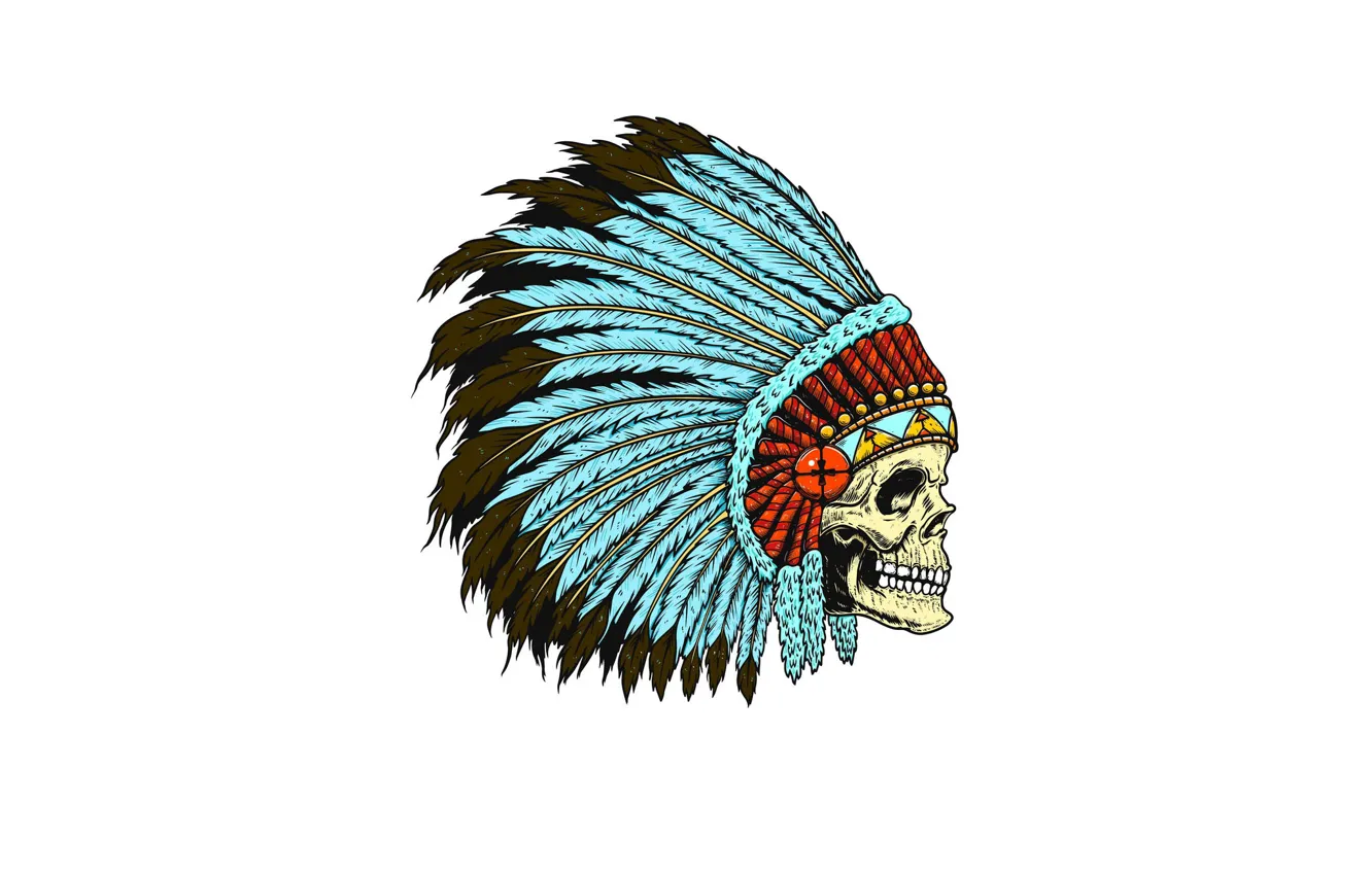 Photo wallpaper skull, feathers, Indian