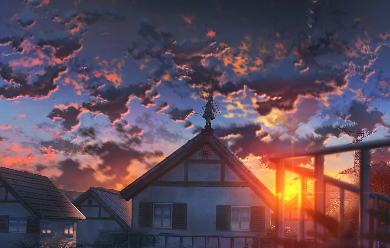 Photo wallpaper roof, girl, the sun, sunset