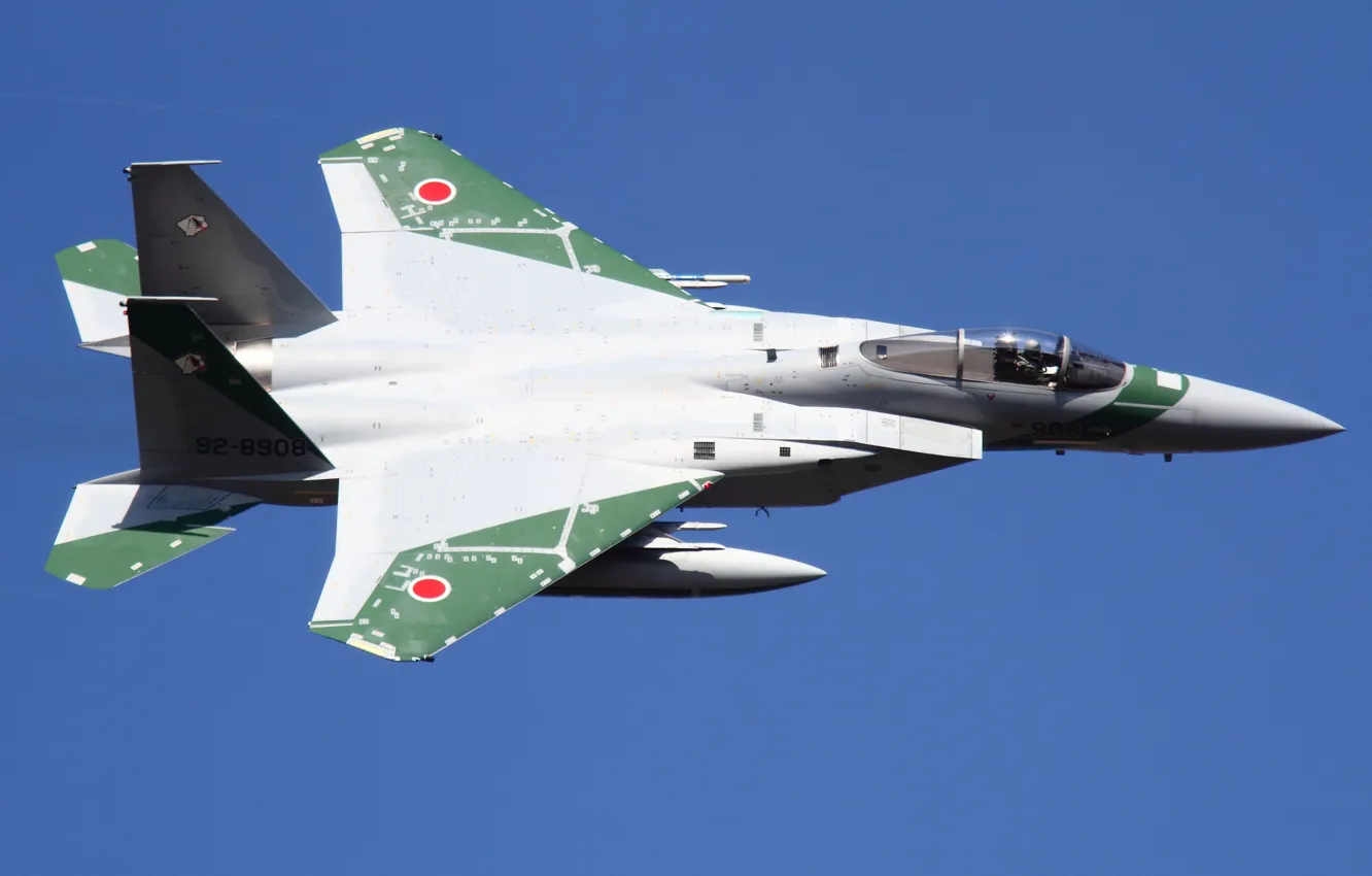Photo wallpaper Mitsubishi, McDonnell Douglas, F-15J