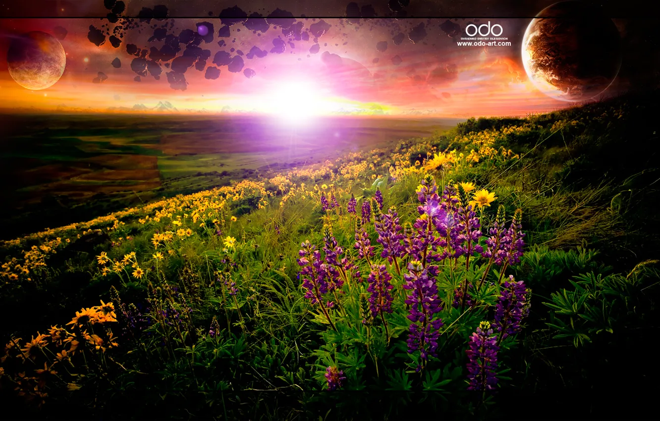 Photo wallpaper grass, planet, horizon, horizon