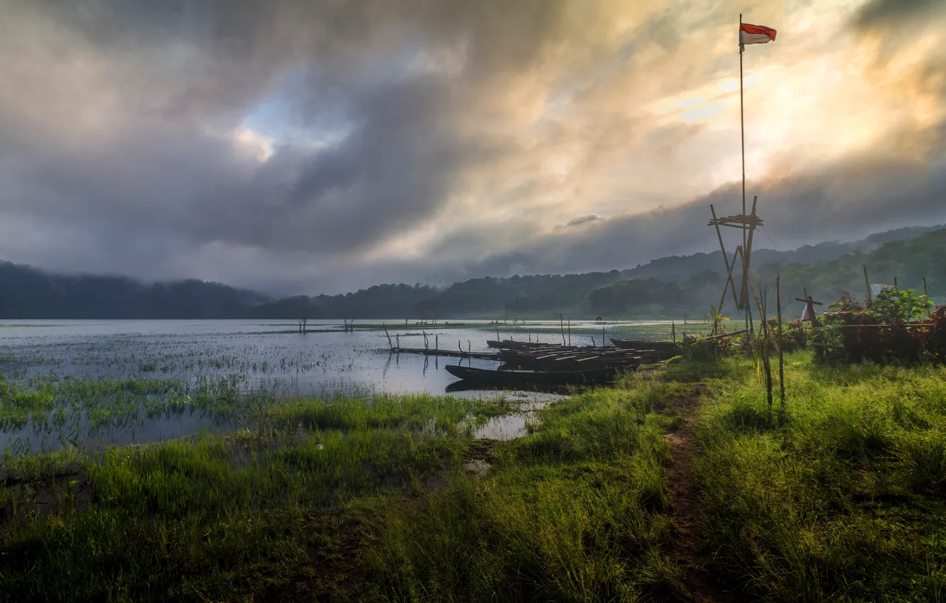 Photo wallpaper forest, summer, grass, light, fog, lake, pond, river