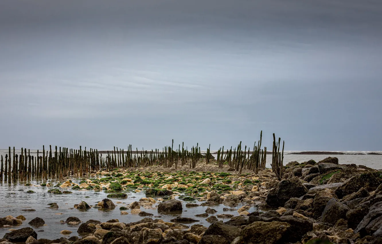 Photo wallpaper sea, the sky, shore