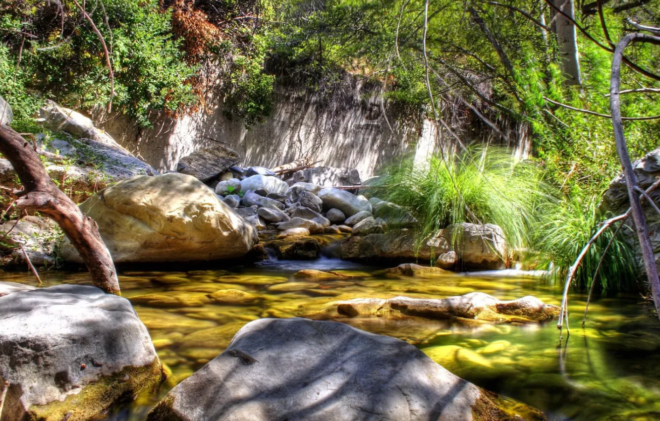 Photo wallpaper stream, stones, woods