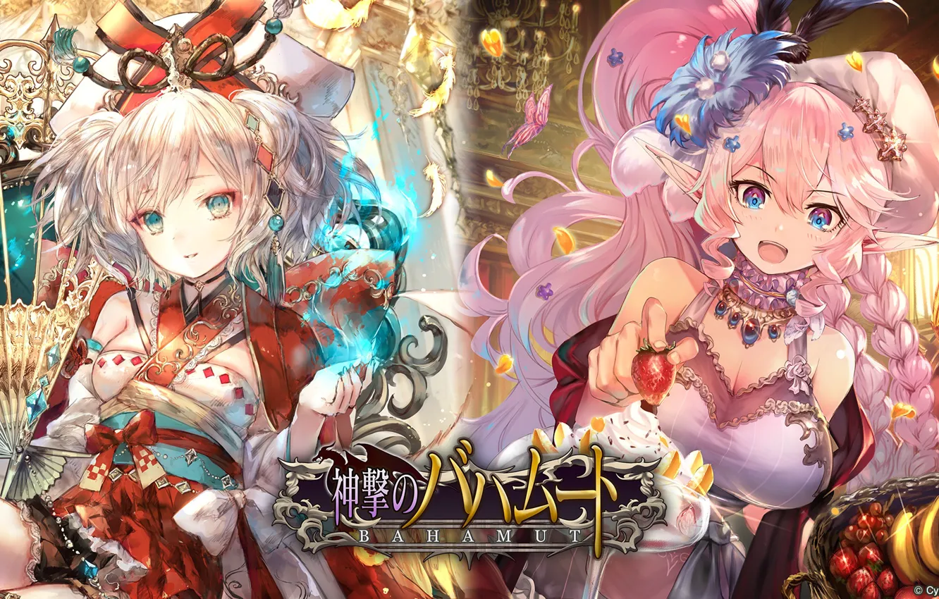 Photo wallpaper girl, anime, art, Shingeki no Bahamut
