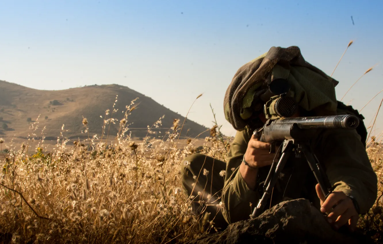 Photo wallpaper grass, sniper, sight, rifle