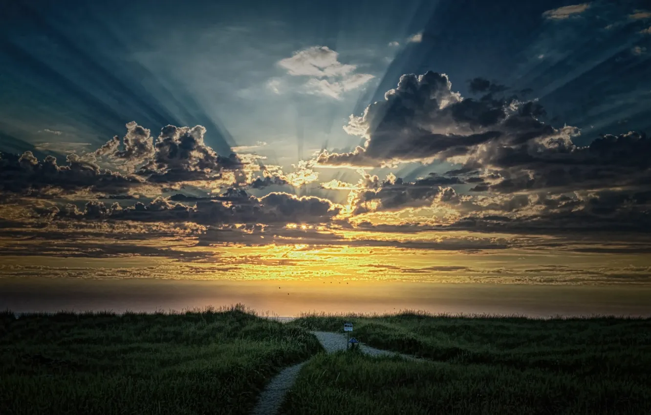 Photo wallpaper rays, morning, sunrise