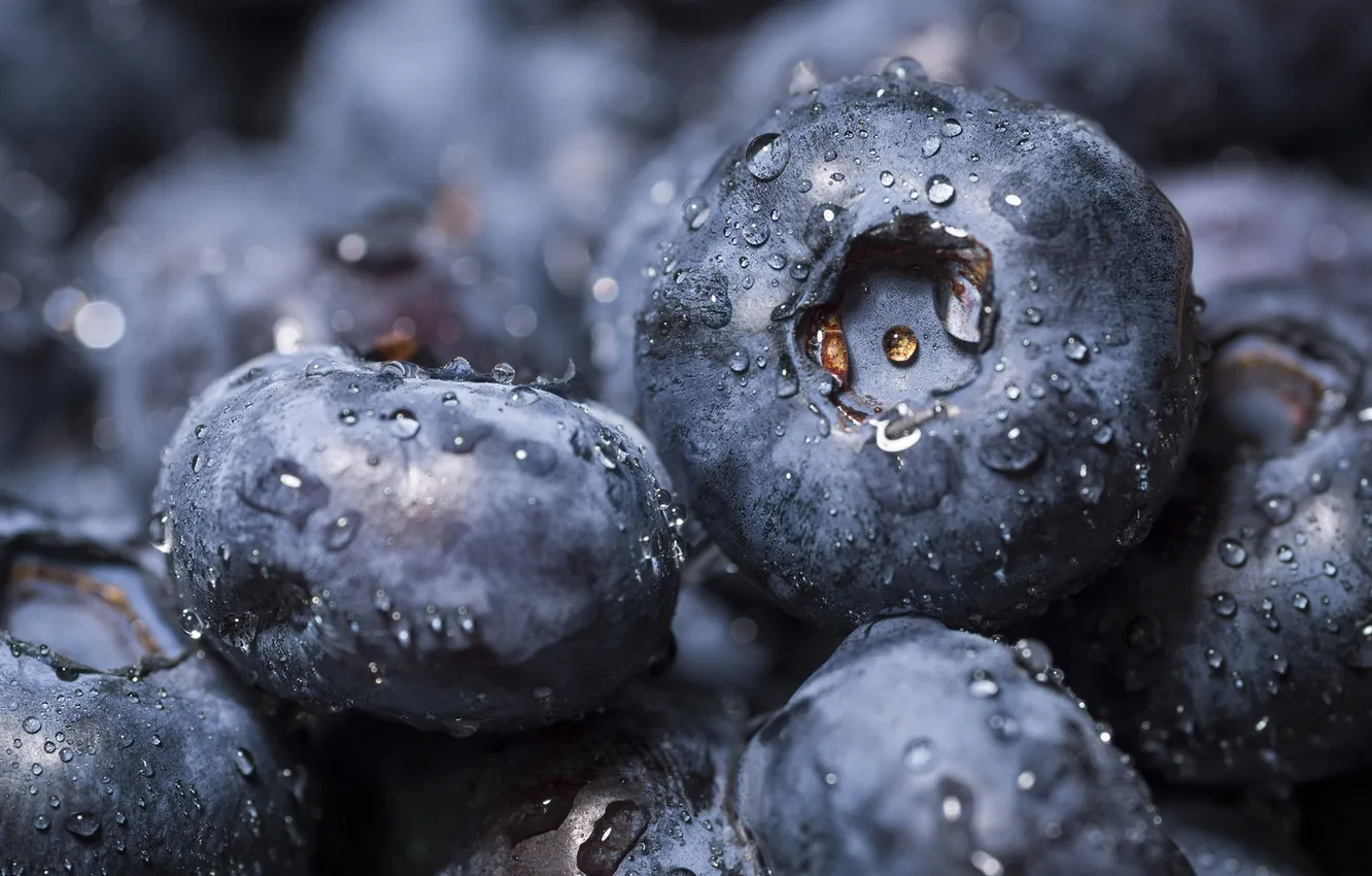 Photo wallpaper macro, fruit, blackberry