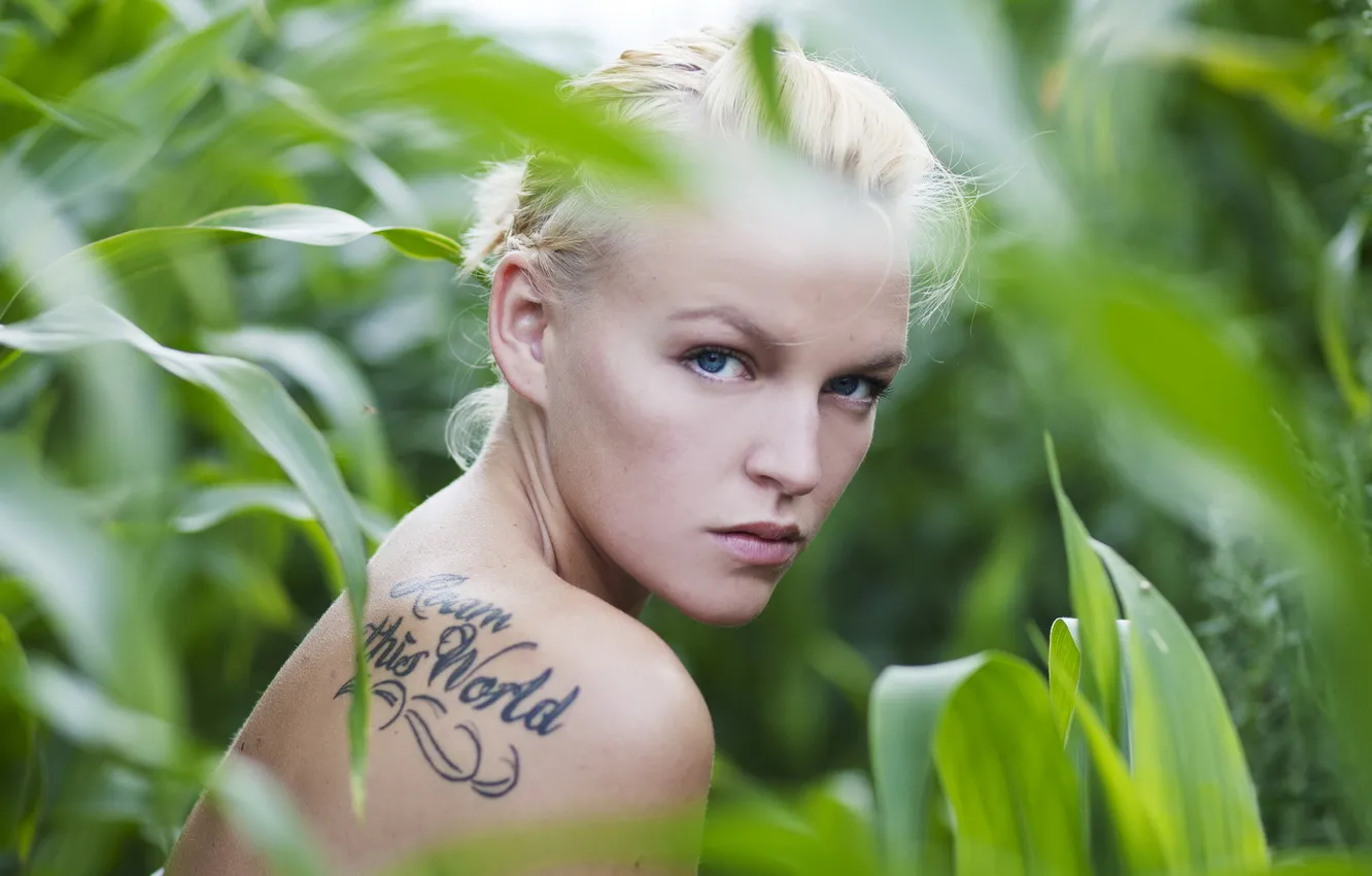 Photo wallpaper girl, background, tattoo