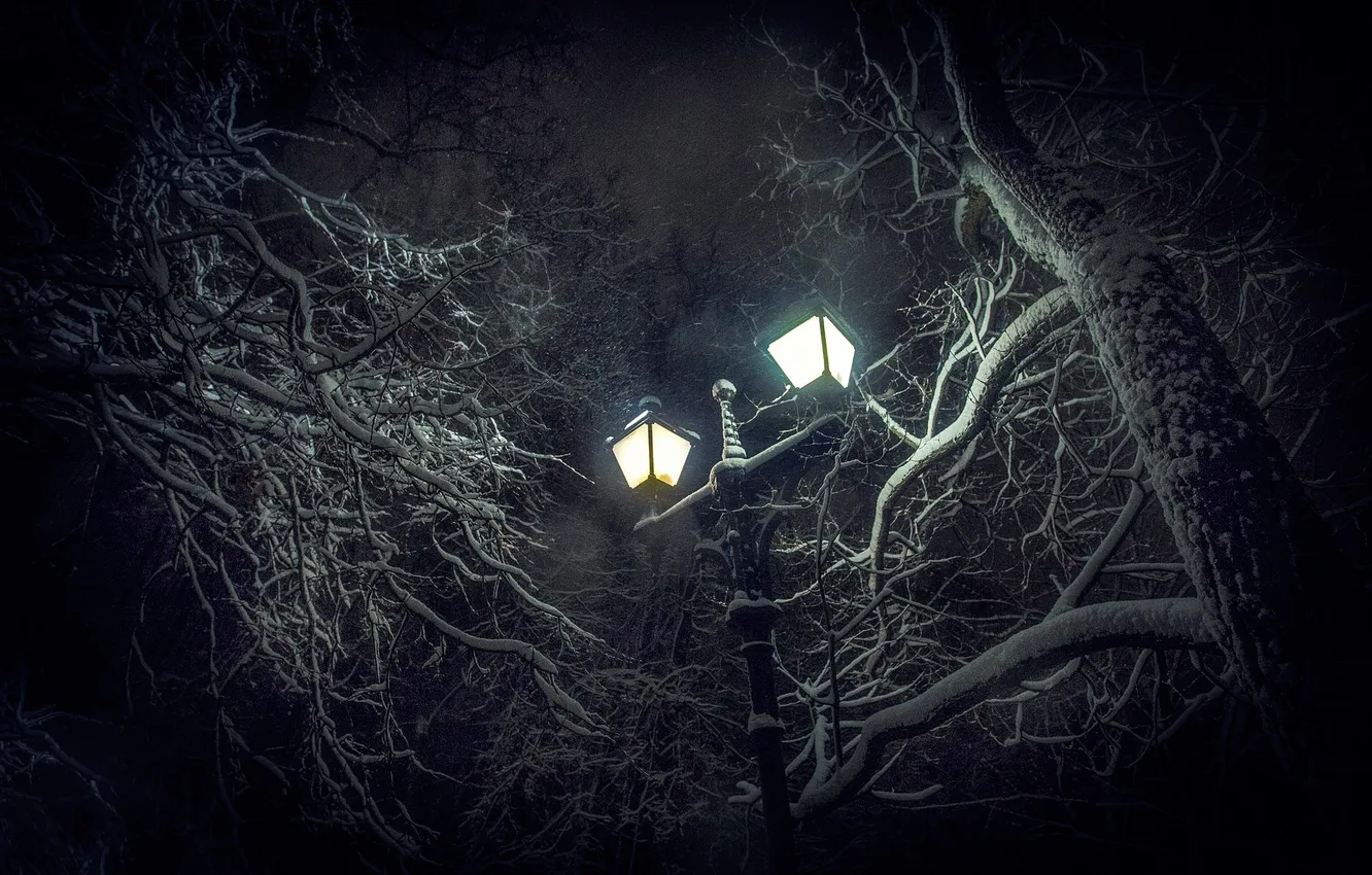Photo wallpaper snow, trees, lantern