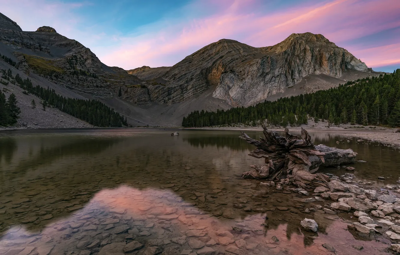 Photo wallpaper forest, mountains, lake, shore, snag