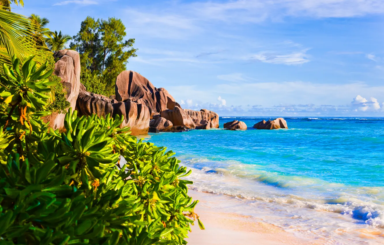 Photo wallpaper sand, sea, beach, the sun, palm trees