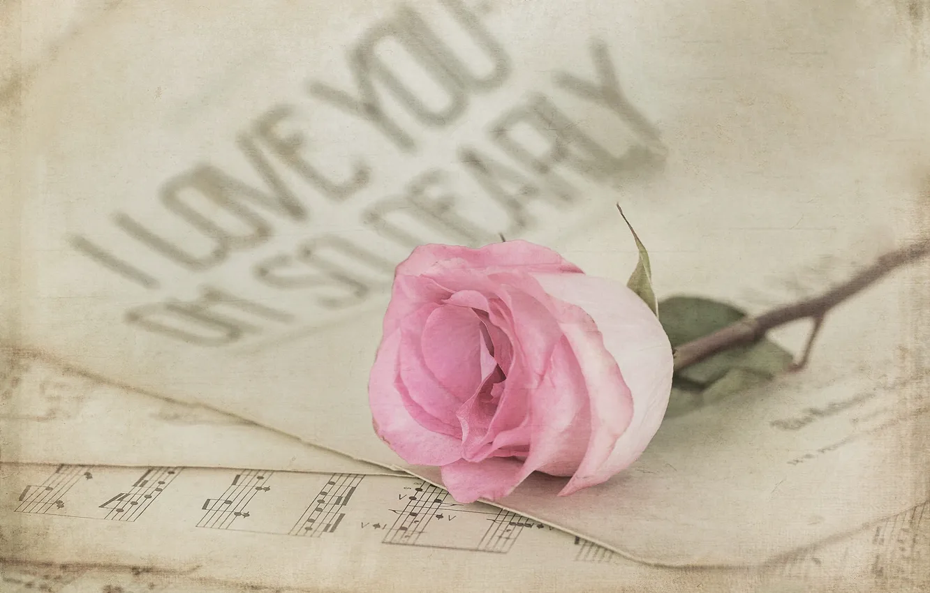 Photo wallpaper notes, roses, vintage