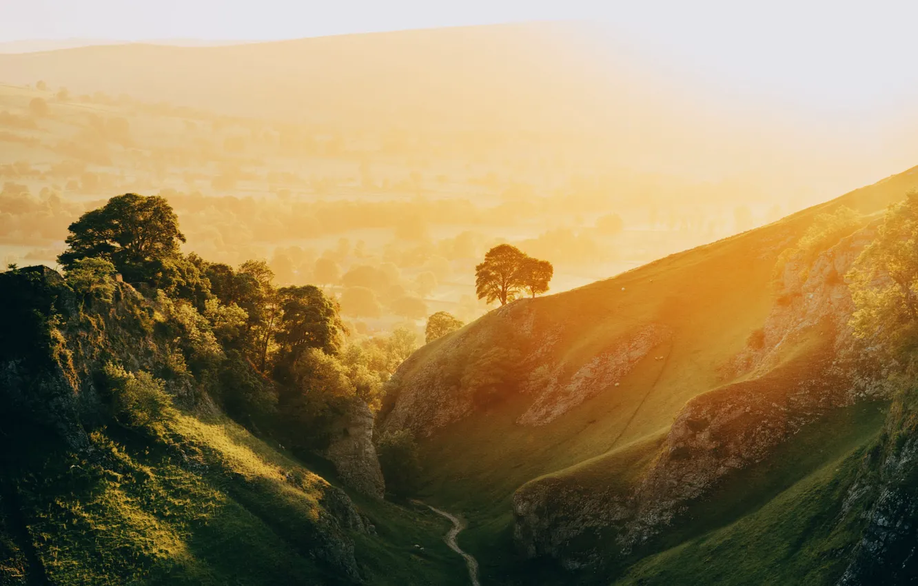 Photo wallpaper forest, the sun, light, mountains, fog, hills, elephant, morning