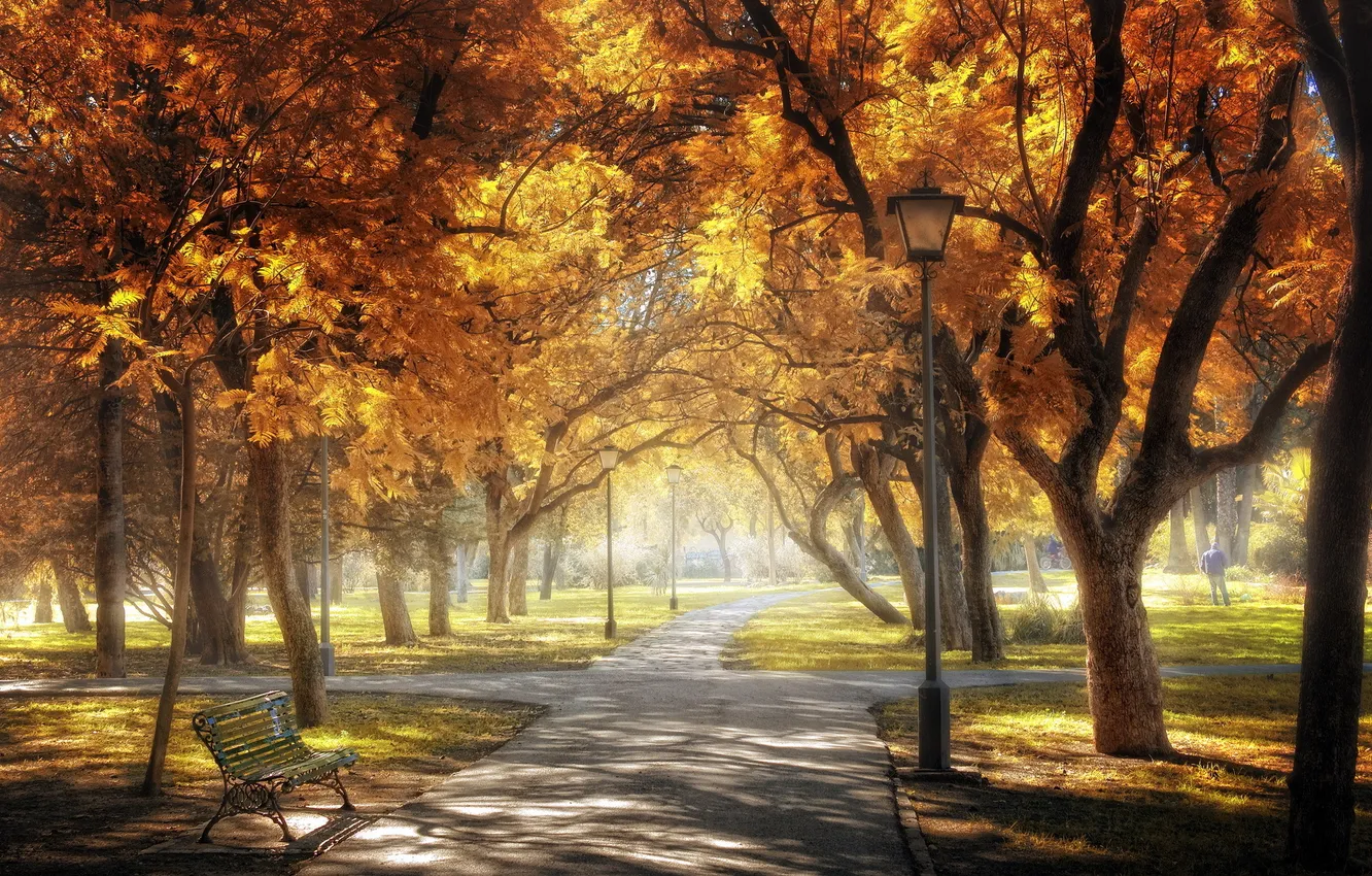 Photo wallpaper Spain, Andalusia, Sevilla, Golden Central Park