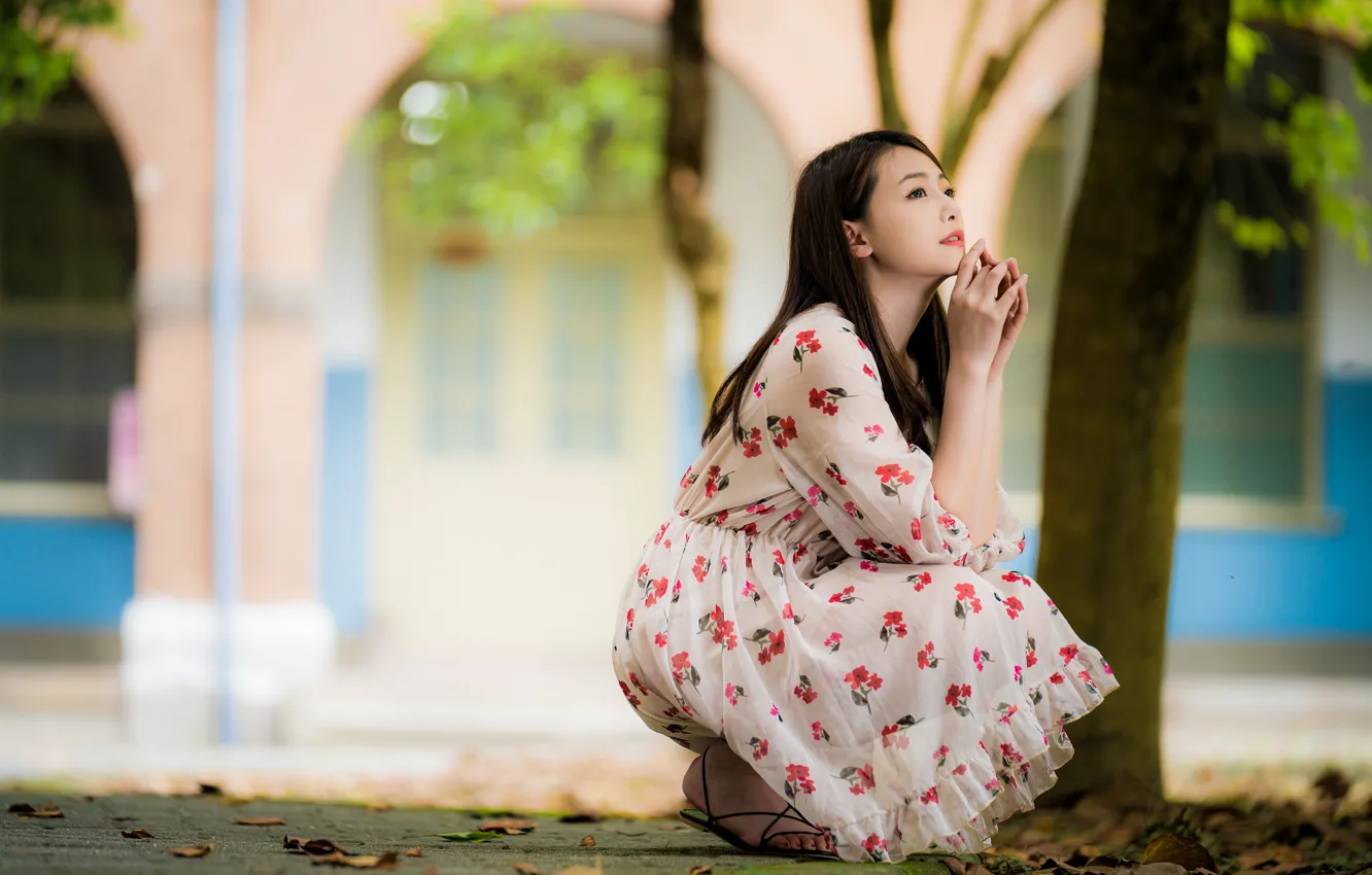 Photo wallpaper girl, pose, sweetheart, dress, Asian, sitting, bokeh