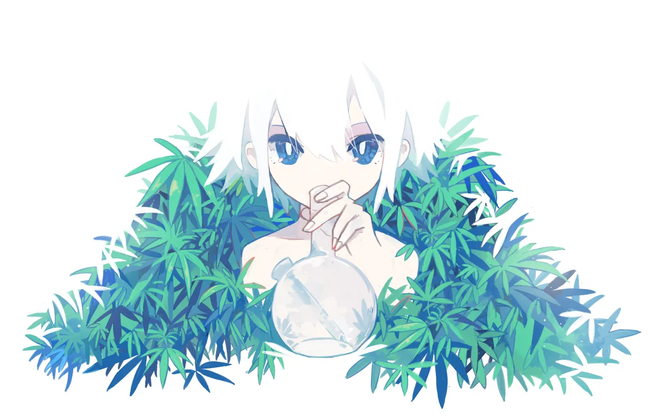 Photo wallpaper grass, girl, bulb