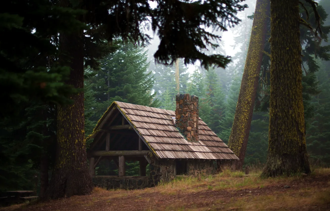Photo wallpaper forest, nature, house