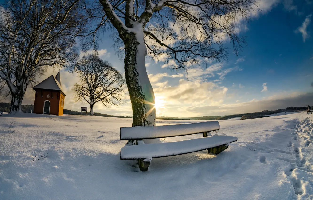 Photo wallpaper winter, snow, morning, bench