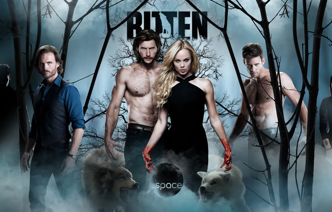 Photo wallpaper forest, the film, actor, the series, Bitten, Ask