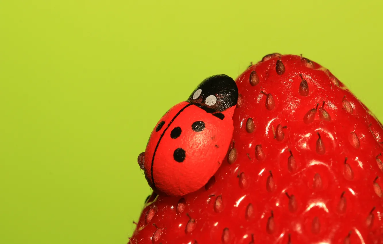 Photo wallpaper berries, ladybug, strawberry, insect