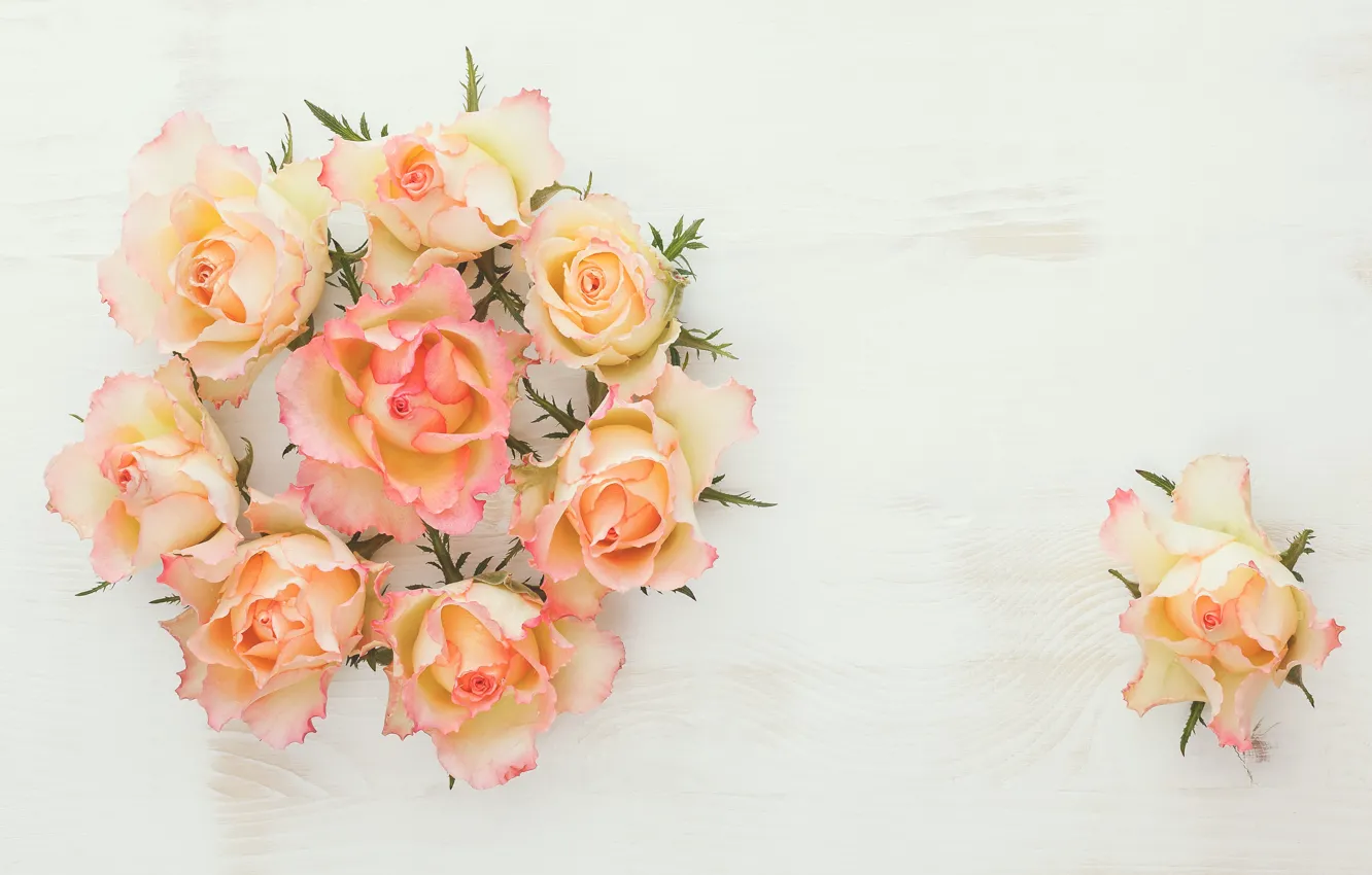 Photo wallpaper wood, flowers, roses