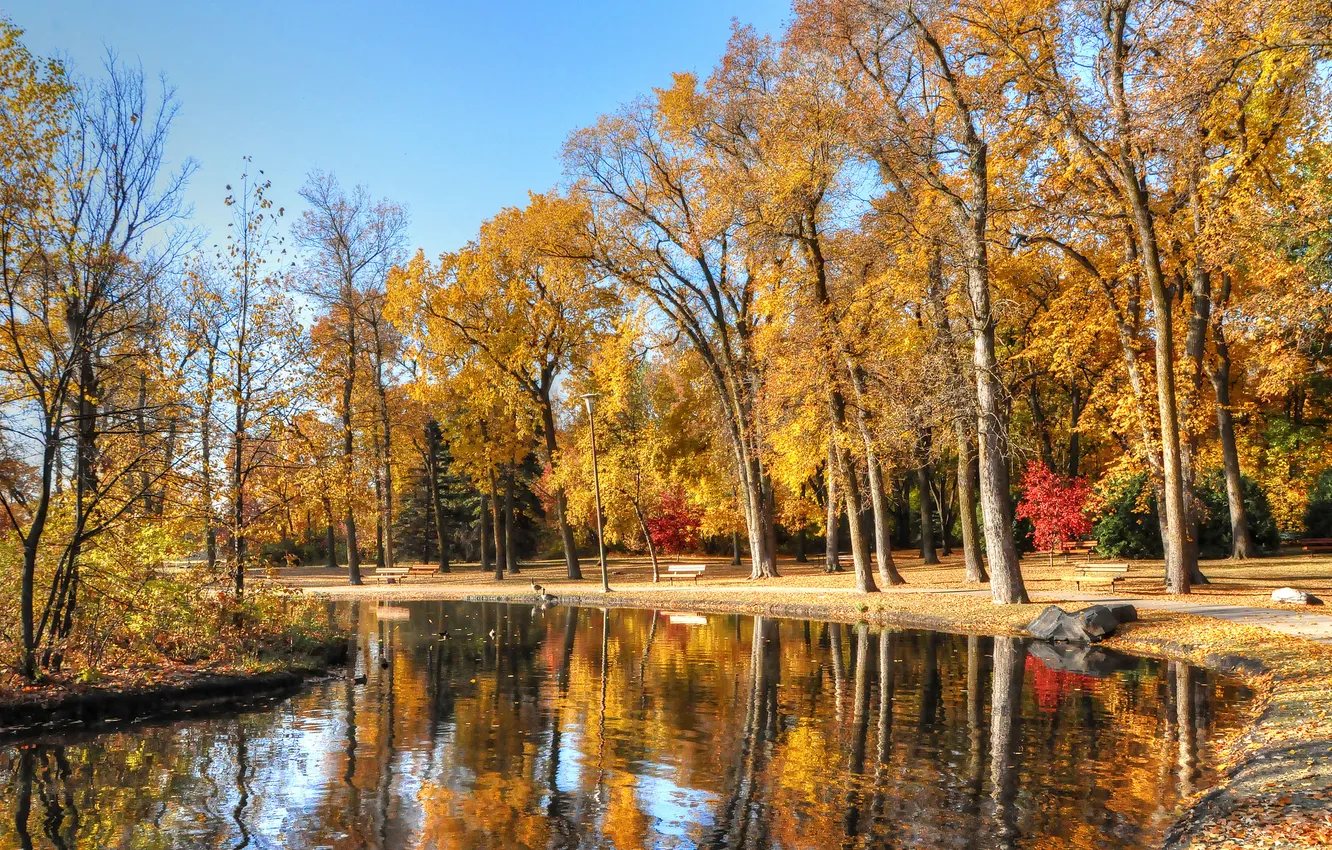 Photo wallpaper autumn, the sky, trees, pond, Park, stones, bench