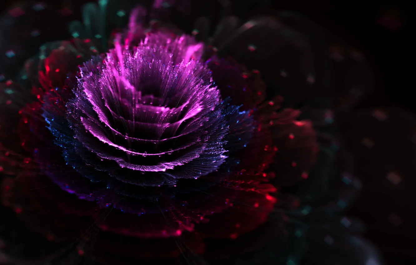 Photo wallpaper flower, petal, Mystery