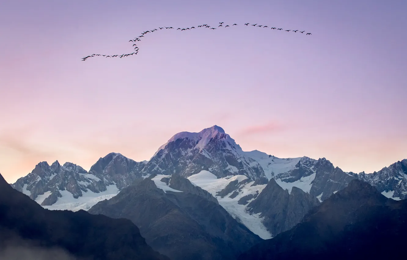Photo wallpaper the sky, mountains, birds, Geese Over Mt Tasman