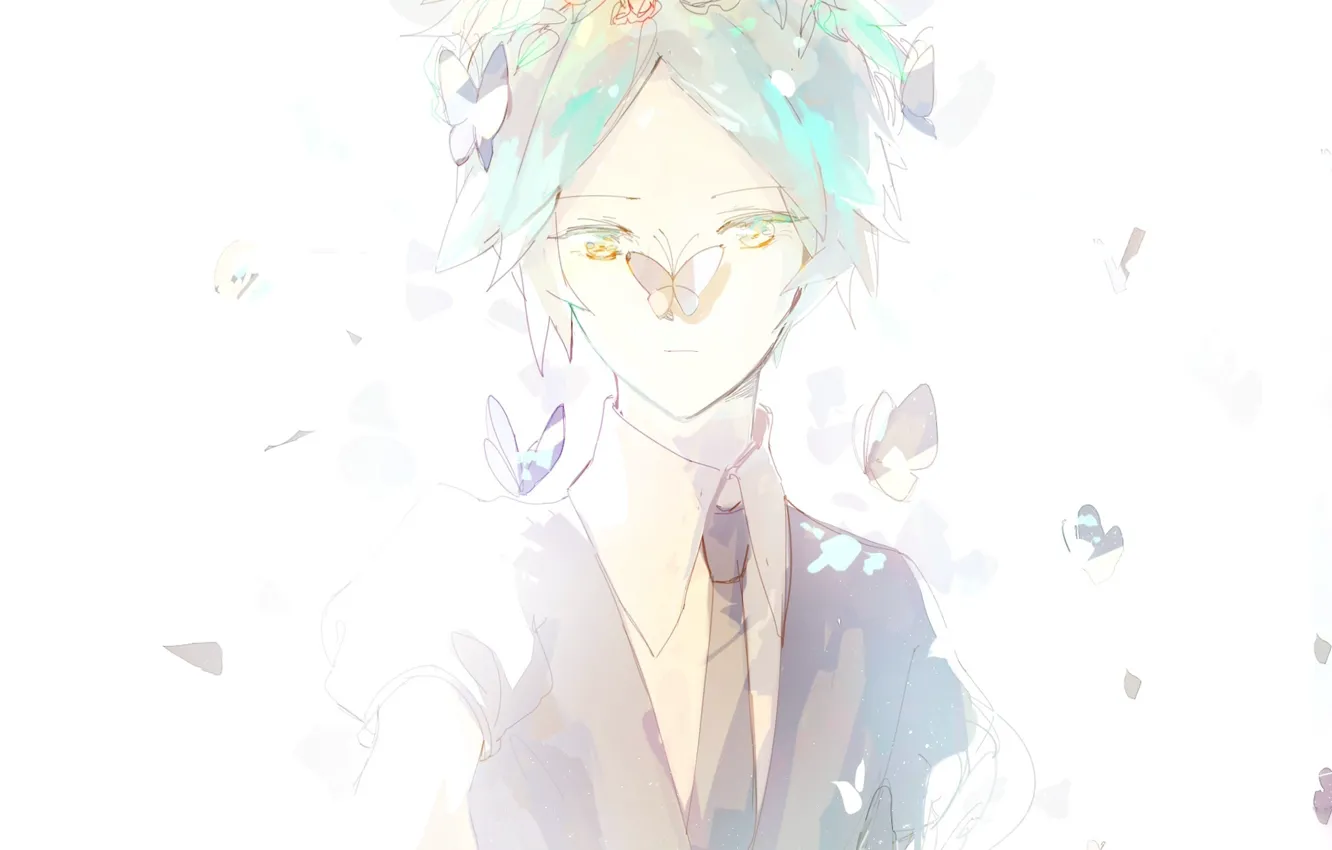 Photo wallpaper girl, butterfly, art, Country Gems, Houseki no kuni