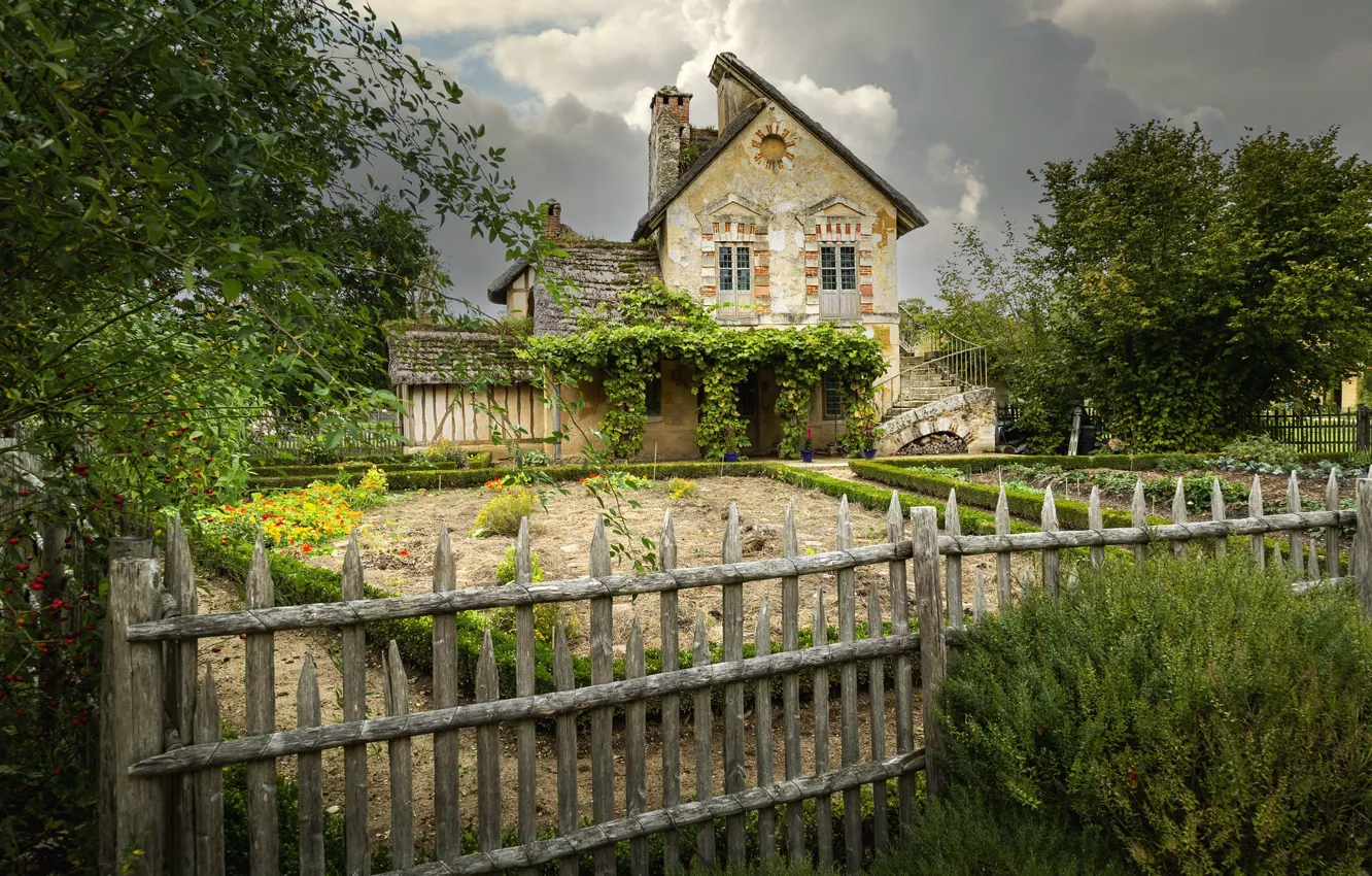 Photo wallpaper summer, the sky, clouds, trees, landscape, branches, nature, comfort