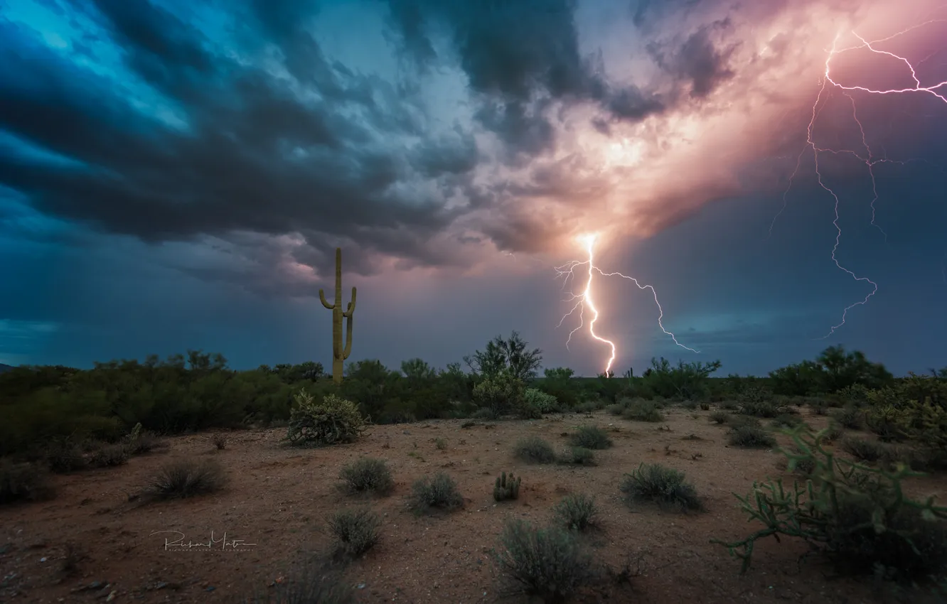 Photo wallpaper the storm, landscape, nature, lightning, desert, cloud