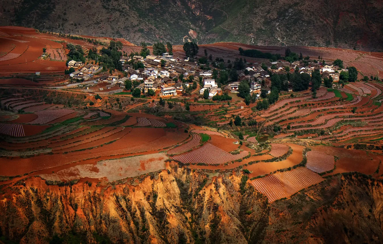 Photo wallpaper field, hills, China, the village