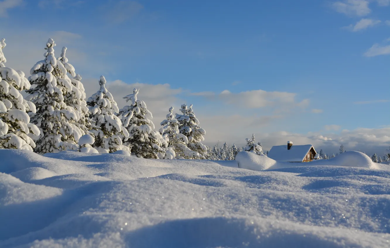 Photo wallpaper winter, the sky, snow, trees, landscape, nature, ate, house