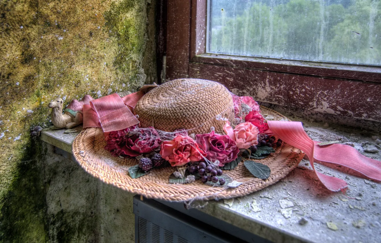 Photo wallpaper background, window, hat