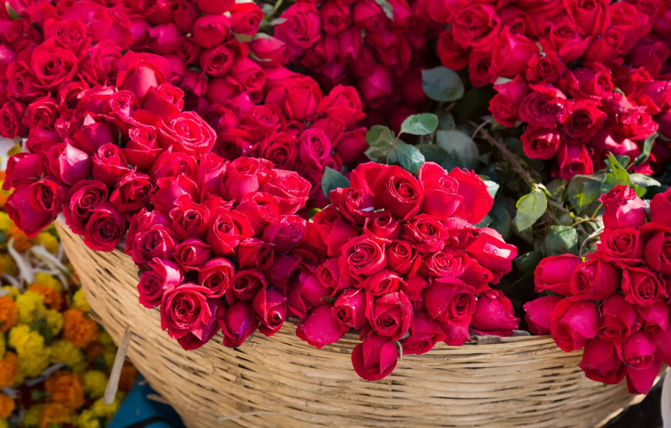 Photo wallpaper flowers, red, roses, bouquet
