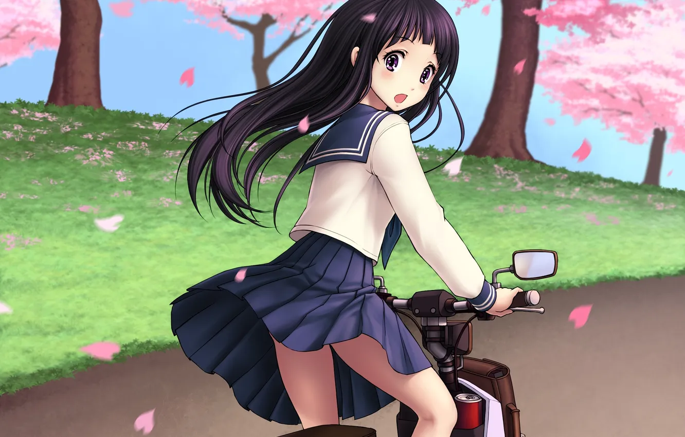 Photo wallpaper look, girl, smile, Sakura, art, scooter, Hyouk, Chitanda Eru