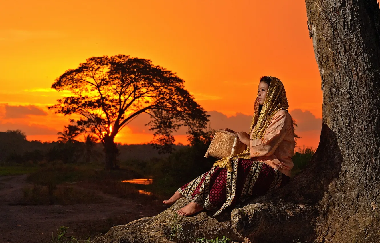 Photo wallpaper girl, sunset, mood