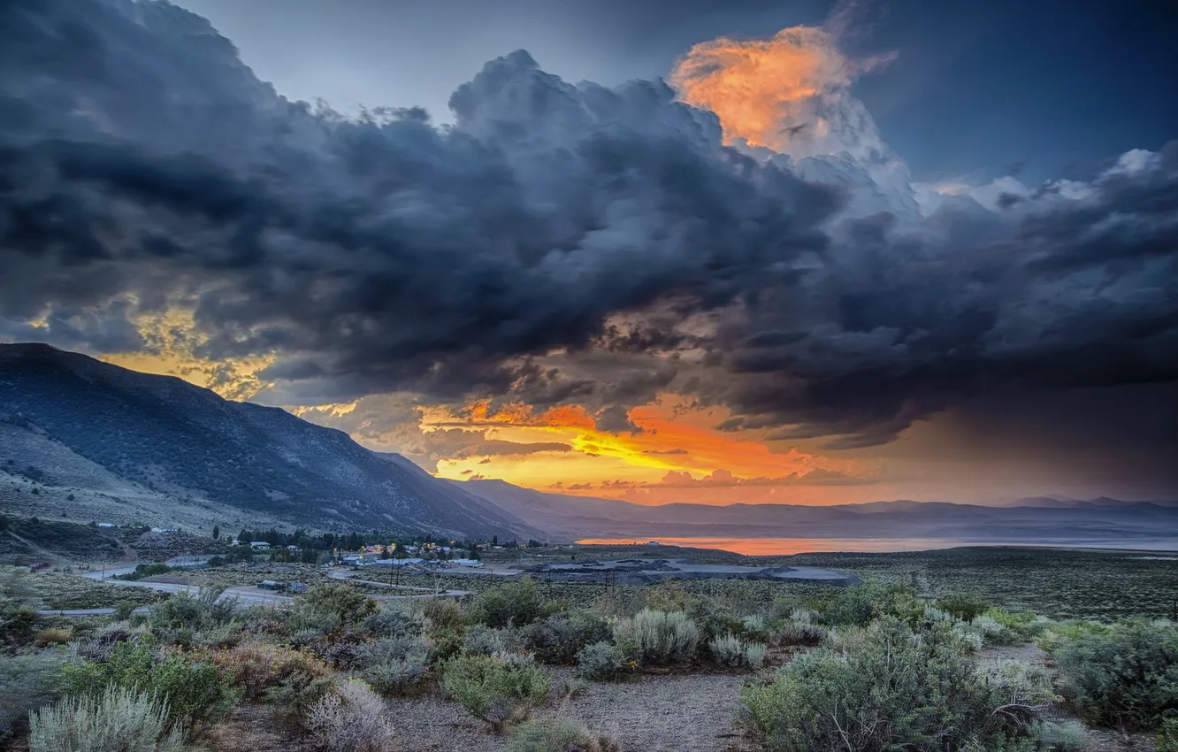 Photo wallpaper field, the sky, landscape