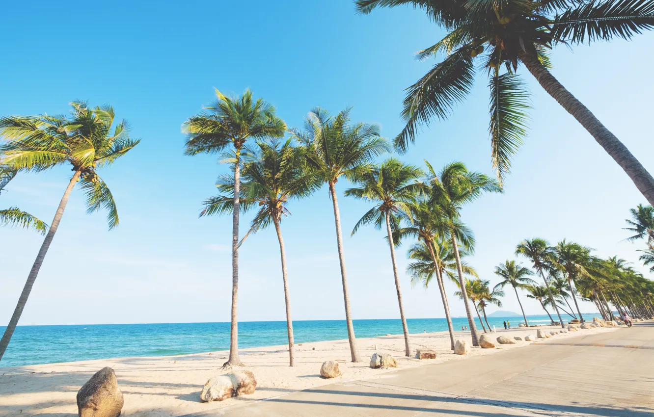 Photo wallpaper sand, sea, wave, beach, summer, the sky, palm trees, shore
