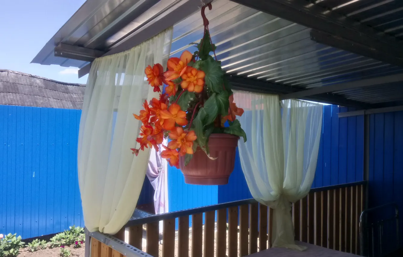 Photo wallpaper flower, Gazebo, curtains
