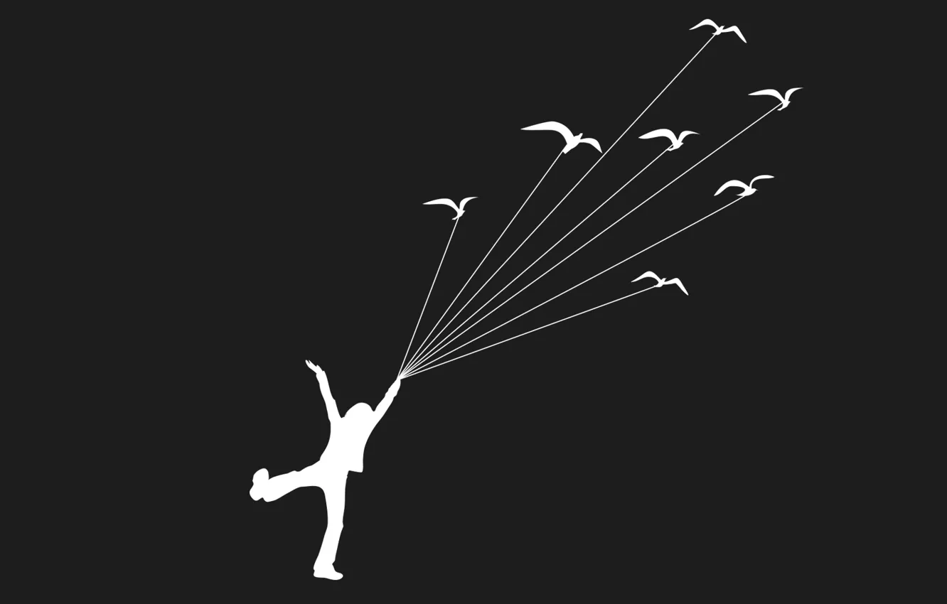 Photo wallpaper grey, bird, people, Flies