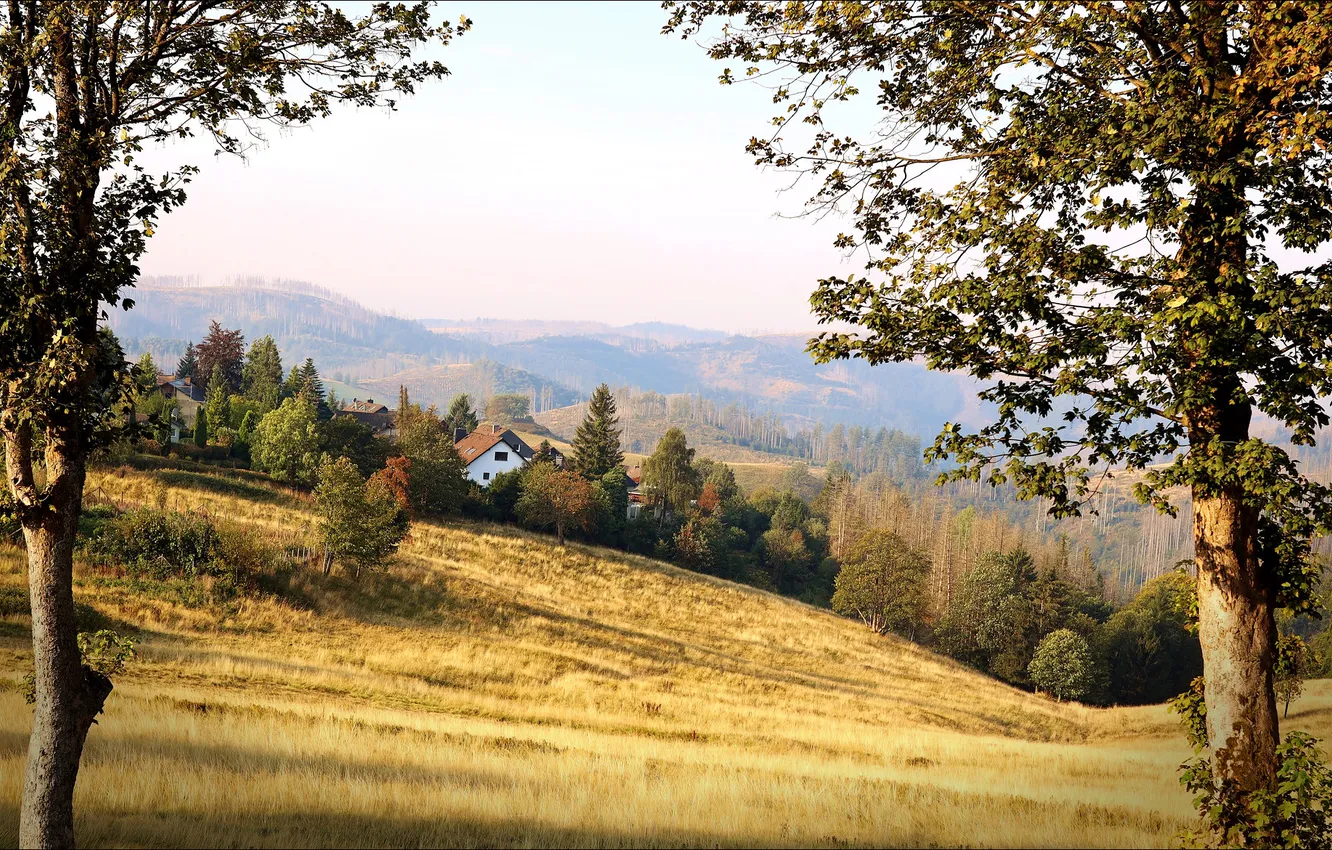 Photo wallpaper field, forest, trees, mountains, hills, dal, slope, house