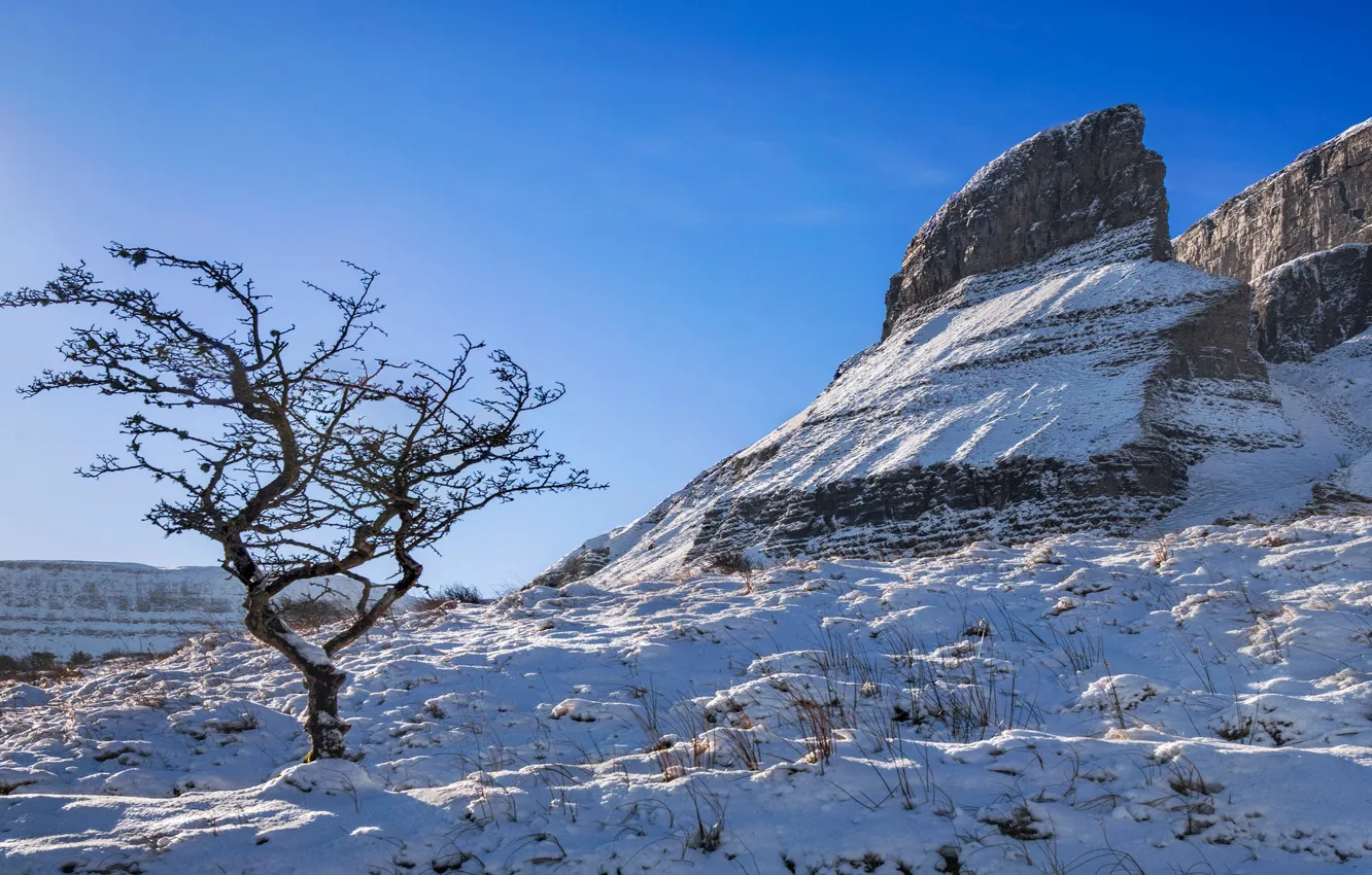 Photo wallpaper winter, the sky, the sun, snow, trees, stones, rocks, Ireland