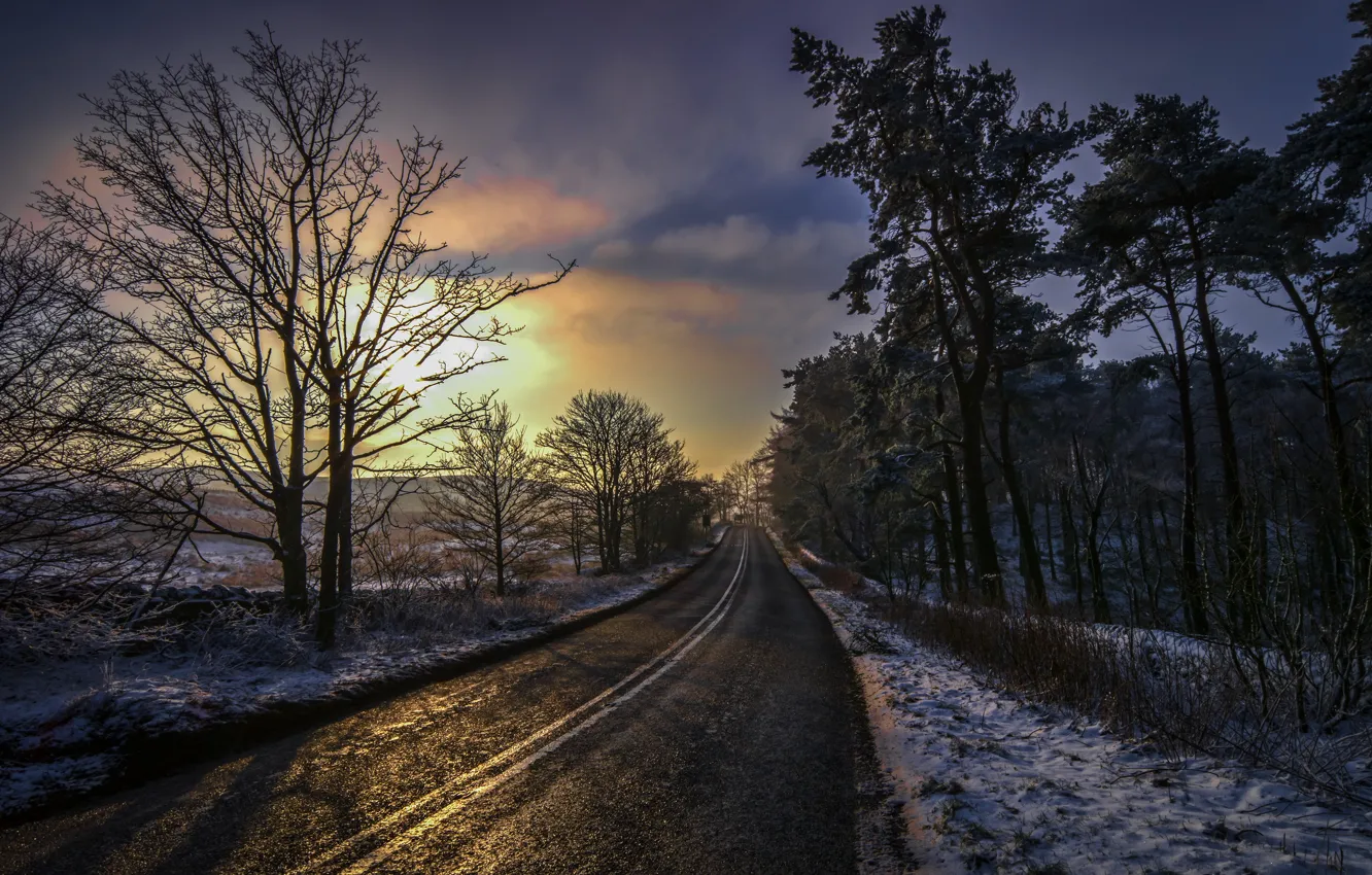 Photo wallpaper winter, road, night