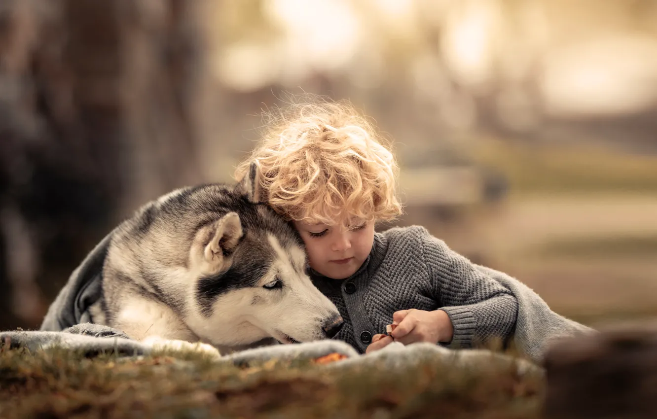 Photo wallpaper children, each, animal, dog, boy, curls, husky, dog